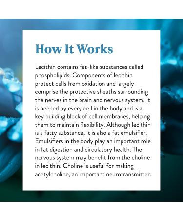 Nature's Sunshine Lecithin 180 Softgels - Healthy Brain and Liver Support - Buy Online on GoSupps.com