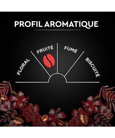  Carte Noire Carte Noire Honduras Selection Pure Organic Arabica Coffee Beans 500g Pack - Buy Online on GoSupps.com