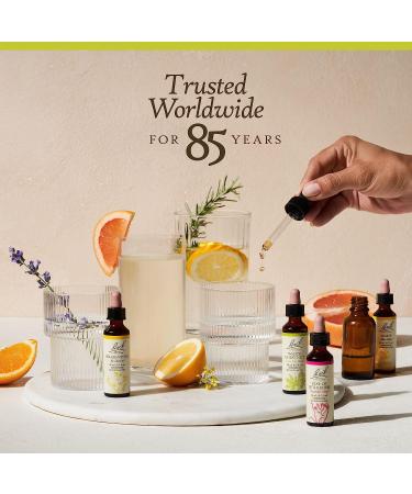 Bach Wild Rose Flower Remedy 20mL Dropper - Natural Holistic Stress Relief | Vegan Formula - Buy Online on GoSupps.com