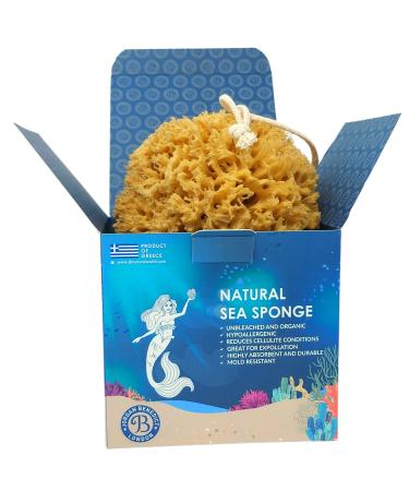 Jordan Benedict Natural Sea Sponge for Bath and Shower (M Pack of 1) M (Pack of 1)