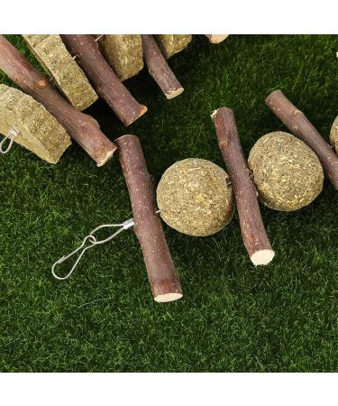 tiopeia 2 Pack Bunny Chew Toys for Teeth Molar Rabbit Toys Hamster Chew Toys Sticks Pet Chew Toy for Rabbits Chinchillas Hamsters Chewing or Playing - Buy Online on GoSupps.com