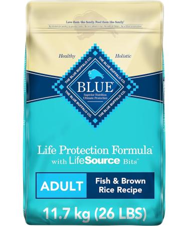 Blue Buffalo Life Protection Formula Adult Dog Food & Wilderness High Protein Grain Free Natural Adult Large Breed Dry Dog Food Salmon 10.8kg Bag Fish Large Bag + Dog Food - Buy Online on GoSupps.com