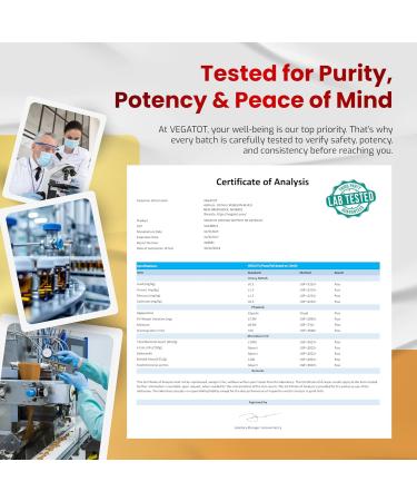 VEGATOT Vertigo Supplement 500mg *Made in USA* with Ginkgo Biloba & Lion's Mane - Inner Ear Balance Support for Dizziness - 90 Count - Buy Online on GoSupps.com