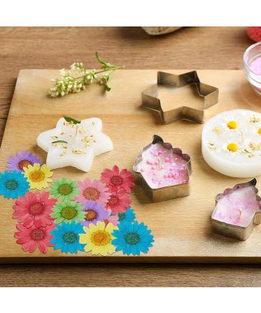 84 Pieces Real Dried Pressed Flowers - Natural Daisy Variety for DIY Crafts & Decorations - 7 Colors - Resin Casting, Jewelry, Candle, Soap Making Supplies - Buy Online on GoSupps.com