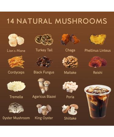 Mushroom Creamer with Instant Decaf Coffee 14 Mushrooms Ceylon Cinnamon Powder 80 Servings and 3g Per Serving Supplement for Energy Foucs Immunity - Buy Online on GoSupps.com