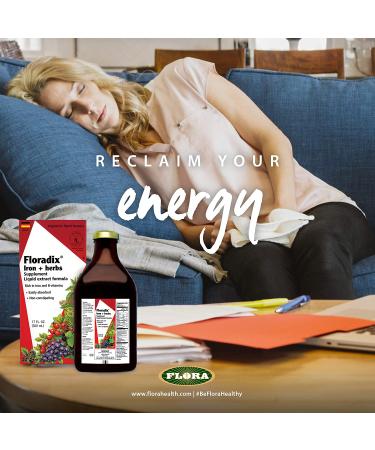 Flora Floradix Iron + Herbs Liquid Supplement 23 fl oz - Enhanced Iron Absorption - Buy Online on GoSupps.com