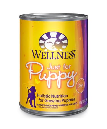 Wellness Complete Health Natural Wet Canned Puppy Food, Puppy Chicken & Salmon 12.5-Ounce Can (Pack of 12) 12.5 Ounce (Pack of 12)