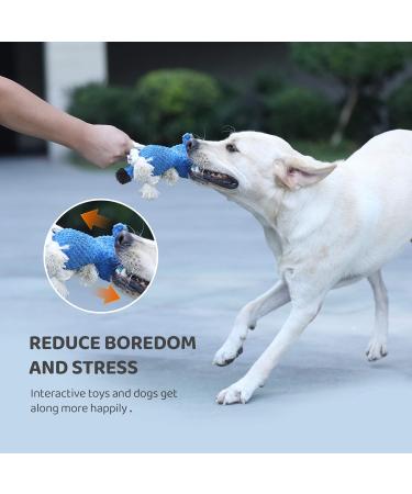 Buy Iokheira Interactive Dog Toys - Durable Squeaky & Cotton Toys for All Dogs - Buy Online on GoSupps.com