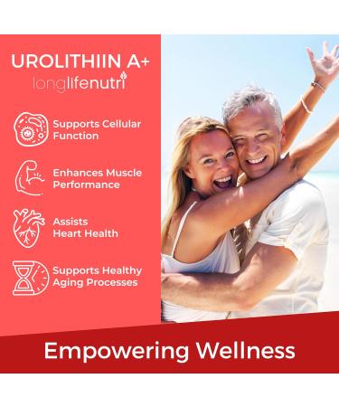 LongLifeNutri Vitamin K2 MK-7 100 mcg & Urolithin A+ 1000 mg Bundle 120 Veg Capsules Each Up to 4-Month Supply Bone Circulation & Longevity Support Lab Tested Made in USA - Buy Online on GoSupps.com