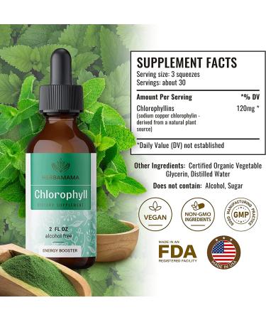 HERBAMAMA Chlorophyll Liquid Drops - Energy Booster for Digestion & Immune Support - Vegan Sodium Copper Chlorophyllin Extract - 2 fl. Oz - Buy Online on GoSupps.com