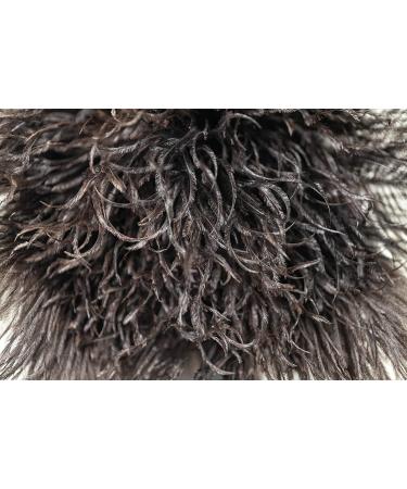 ROYAL DUSTER 14 Black Ostrich Feather Duster - Premium Quality - Buy Online on GoSupps.com