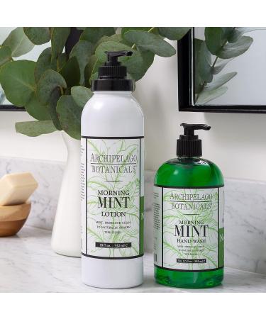 Archipelago Botanicals Morning Mint Hand Wash - Gentle Daily Soap, Cleanse and Hydrate (17 fl oz) - Buy Online on GoSupps.com