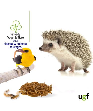 UGF Premium Dried Mealworms 1kg - Healthy Insect Snacks for Birds Reptiles & Small Pets - No Preservatives or Dyes - Buy Online on GoSupps.com