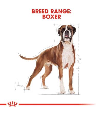 Royal Canin Dog Food Boxer 26 Dry Mix 12kg Poultry 12 g (Pack of 1) - Buy Online on GoSupps.com
