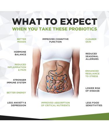 Probiotic Complex for Gut Health & Digestive Support | 120 Tablets | Bacillus Subtilis & Coagulans | 500 Million CFU | Men & Women - Buy Online on GoSupps.com