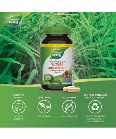 Nature's Way Dandelion Root - Digestion Supplement & Ginger Root Traditional Digestive Support Supplement - Buy Online on GoSupps.com
