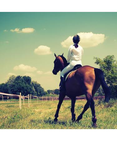 "BE COOL" COOKIES for a "Chilled Out" CALMER COOLER Horse - With Ashwagandha and B Vitamins - Buy Online on GoSupps.com
