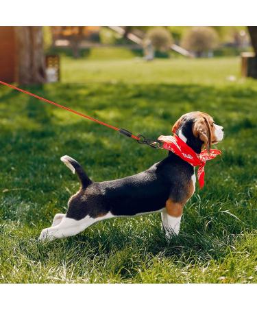 Hofleine 9m Tie Out Cable for Dogs | Shock-Damping Spring | Medium & Large Dogs | Outdoor Camping & Park Use - Red - Buy Online on GoSupps.com