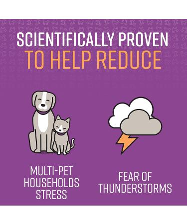 Sentry Calming Spray for Cats - Stress Relief Solution - Buy Online on GoSupps.com