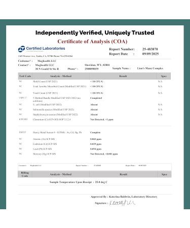 Lion's Mane & Yerba Mate Capsules 4-in-1 Nootropic Supplement | Organic Lion s Mane Mushroom for Focus, Clean Energy (75mg Caffeine) + Ashwagandha & Black Pepper | 60 Day Supply - Buy Online on GoSupps.com