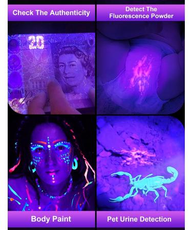 Fulighture UV Torch Pets Black Light 12LED 395nm Dogs/Cats Urine Detector Ultraviolet Flashlight Find Dry Stains on Carpets/Rugs/Floor with Batteries Included 395nm 1 Count (Pack of 1) - Buy Online on GoSupps.com