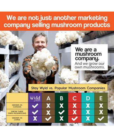 Stay Wyld Organics - Cordyceps Mushroom Capsules 100% Canadian Mushrooms Supplements for Energy Immunity & Vitality Organic Mushroom Supplement - 90 Capsules Pouch - Buy Online on GoSupps.com