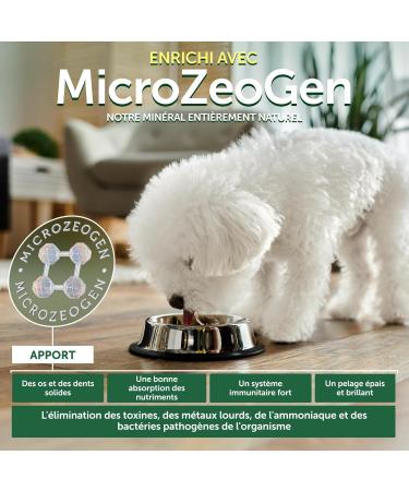 Nature's Protection Superior Care Complete Dry Food for Junior Dogs (3 to 12 Months) All White-Haired Breeds (Maltese Bichon Frise etc.) I Grain-Free I Salmon 10 kg - Buy Online on GoSupps.com