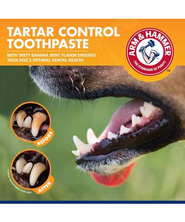 Arm & Hammer Tartar Control Dental Kit for Dogs - Banana Mint Flavor - Buy Online on GoSupps.com