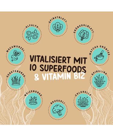 Powerstar Vegan Protein 500g | Soy-Free Multi-Component Protein Powder with 10 Superfoods | German Quality | Ideal for Muscle Building | Salted Caramel Flavor - Buy Online on GoSupps.com