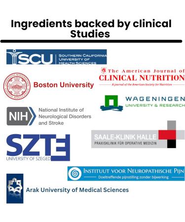 Advanced Nerve Support Formula - 600 mg Alpha Lipoic Acid & PEA for Neuropathy Relief - 120 Capsules - Best Peripheral Nerve Health Supplement - Buy Online on GoSupps.com