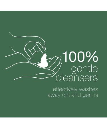 Dove Nourishing Foaming Hand Wash - Aloe & Eucalyptus, 10.1 Fl Oz (Pack of 4) - Cleans & Softens Hands - Buy Online on GoSupps.com