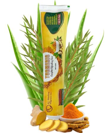 Infinix Herbal and Turmeric Toothpaste with Saffron Tea Tree Aloe Vera and Ginger - Paraben Free & Refreshing Oral Care for Sensitive Teeth - Halal - Pack of 6 - Buy Online on GoSupps.com