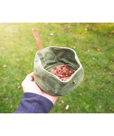 Buust Travel Dog Bowl - Foldable Waxed Fabric Water Bowl in Green - 1L Capacity for On-the-Go Dogs - Buy Online on GoSupps.com