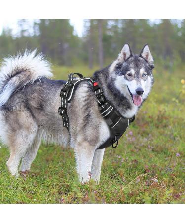 Heele Dog Crockery & Adjustable Reflective Harness - Lockable Dog Running Harness for All Sizes - Buy Online on GoSupps.com