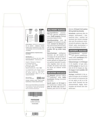 Spitzwegerich (Plantago Lanceolata) Leaves Tincture - Vegan Alcohol-Free Liquid Extract 200ml | Natural Dietary Supplement | International Shipping - Buy Online on GoSupps.com