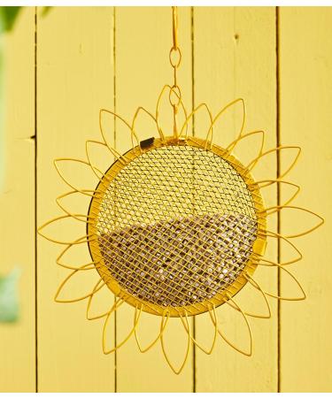 Dehner Natura Bird Feed - Peeled Sunflower Seeds for Wild Birds | Year-Round Supplementary Food for Tits Finches & Sparrows | 5 kg Pack - Buy Online on GoSupps.com