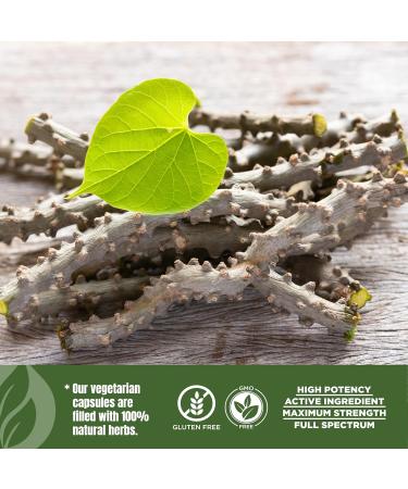 HerbsForever Guduchi(Tinospora cordifolia) -Extra Strength (10:1)Extract Equiv.to 4050mg Stem Powder Per Serving Support Immune Carb Control detox & Cellular Defense |3-5%Bitters|60Veg Capsule|800mg - Buy Online on GoSupps.com