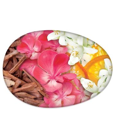 Caress Silk Beauty Bar Soap - 2x4 Ounce Bars for Silky Soft Skin - With Silk Extract and Floral Oil Essence - 8 Ounce Total - Buy Online on GoSupps.com