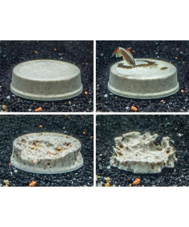 Tetra Holiday Menu - 30g Decorative Fish Food with Krill & Daphnia 14-Day Gel Feed Block for Varied Diet  - Buy Online on GoSupps.com