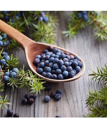 NATURE'S APOTHECARY Happy Camper Premium Bar Soap | Eco-Friendly Vegan Hypoallergenic All-Natural Castile Soap | Handmade in USA - Shop Internationally Now - Buy Online on GoSupps.com