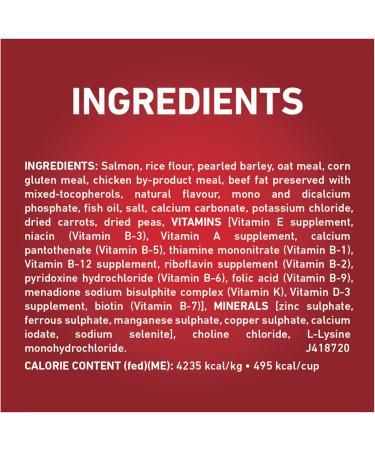 Purina ONE +Plus Dry Dog Food Skin & Coat with Salmon - 1.6 kg Bag 1.6 kg (Pack of 1) - Buy Online on GoSupps.com