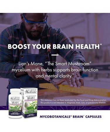 Host Defense Bundle with MycoBotanicals Brain* Capsules 60 Count & Cordyceps Capsules 60 Count - Support Memory & Focus - Support Immune Health & Energy* - Buy Online on GoSupps.com