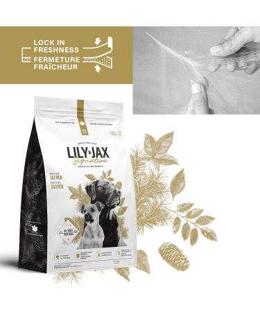 Dry Dog Food - No Corn or Soy - Protein Rich - Puppy Food - Adult Dog Food by Lily & Jax Salmon 2 kg (Pack of 1) Salmon 2 kg (Pack of 1) - Buy Online on GoSupps.com
