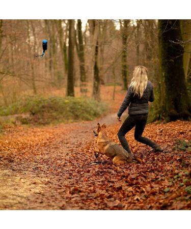 Liono Durable Feed Bag for Dogs | 18x7x7 cm Water-Repellent Snack Bag with Zipper Velcro Carabiner Hook | Blue - Ideal for Treats & Travel - Buy Online on GoSupps.com