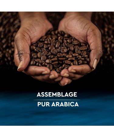  Carte Noire CARTE NOIRE - Carte Noire Decaffeinated Ground Coffee - Arabica Ground Coffee - Unique & Deep Flavour - Pack of 250g - Made in France - Buy Online on GoSupps.com