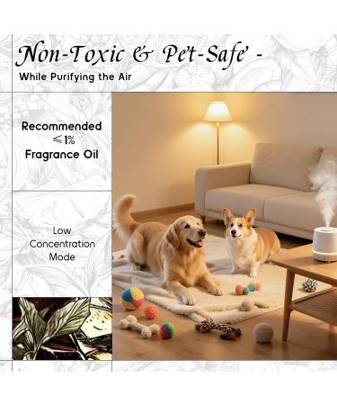 HIQILI 100ML Ylang-Ylang Essential Oil & 30ML Chocolate Fragrance Oil for DIY Diffuser - Buy Online on GoSupps.com