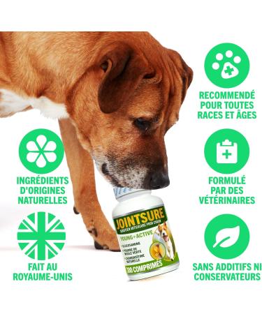 JOINTSURE Young & Active Joint Supplements for Dogs and Puppies Helps with Joint Stiffness 60 Tablets - High in Glucosamine & Green Lipped Mussel - Buy Online on GoSupps.com