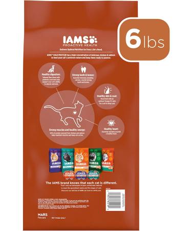 IAMS High Protein Chicken & Salmon Dry Cat Kibble - 6 lb (1 Pack) - Buy Online on GoSupps.com