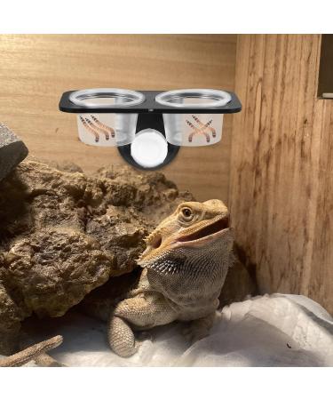 POPETPOP Gecko Feeder Ledge-Small Gecko Food Cups Suction Cup Reptile Feeder for Reptiles Food and Water Feeding Size 2 - Buy Online on GoSupps.com