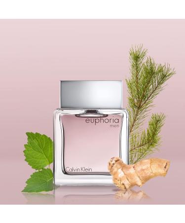 Calvin Klein Euphoria Eau de Toilette Chypre Men's Cologne With Notes of Ginger Black Basil Patchouli & Amber Long Lasting Fragrance 1.7 Fl Oz (Pack of 1) - Buy Online on GoSupps.com